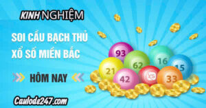 Kinh nghiệm soi cầu bạch thủ lô năm 2025