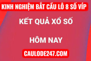 Kinh nghiệm bắt cầu dàn lô 8 số víp