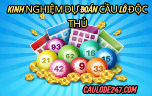 Kinh nghiệm dự đoán cầu lô độc thủ Víp