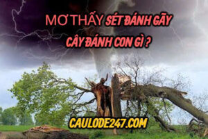 Mơ thấy sét đánh gãy cây đánh con gì ?