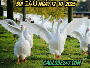 Nằm mơ thấy ăn thịt ngỗng đánh con gì?