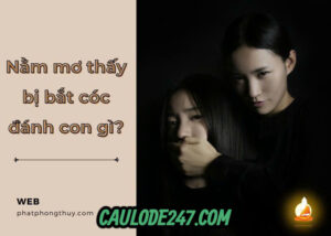 Nằm mơ thấy bạn học bị bắt cóc đánh con gì ?