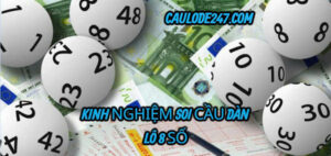 Kinh nghiệm bắt cầu lô 8 số miễn phí