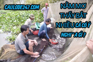 Nằm mơ bắt được nhiều cá có ý nghĩa gì ?