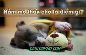 Nằm mơ thấy chó bị chết có điềm gì ?