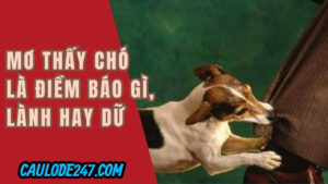 Nằm mơ thấy mất chó có điềm gì ?