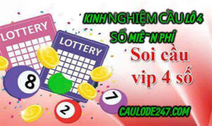 Kinh nghiệm soi cầu lô 4 số miễn phí