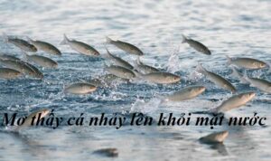 Nằm mơ thấy cá nhảy lên bờ đánh con gì