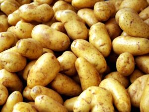 Chiêm bao thấy củ khoai tây chốt số nào