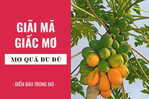 Mộng thấy quả đu đủ đánh số gì