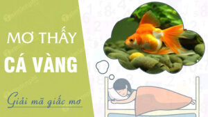 Nằm mơ thấy cá vàng đánh con gì