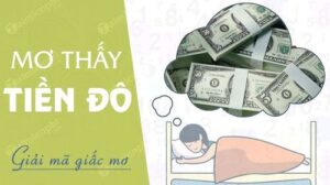 Chiêm bao thấy tiền đô đánh con gì